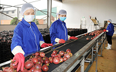 Giải pháp thúc đẩy xuất khẩu nông, lâm, thủy sản 2023