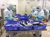 Thủy sản xuất khẩu gặp khó đủ đường