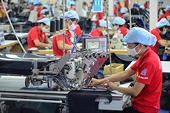 Xuất khẩu xanh: Thành bại trong tay doanh nghiệp