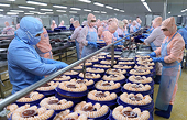 Xuất khẩu nông sản sang thị trường Nhật: Doanh nghiệp Việt có tìm được chỗ đứng?