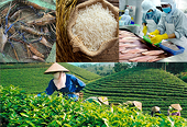 Xuất khẩu thủy sản sang Trung Quốc 'tắc' ngay bước đăng ký