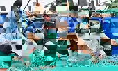 Nỗ lực triển khai các giải pháp để gỡ 'thẻ vàng' IUU