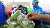 Truy xuất nguồn gốc nông sản: Tính minh bạch của nền nông nghiệp