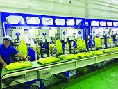 Đáp ứng tiêu chuẩn “xanh” thúc đẩy tăng trưởng xuất khẩu