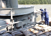 Doanh nghiệp miệt mài góp nhặt đơn hàng xuất khẩu