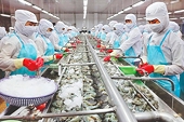 Vì sao xuất khẩu thủy sản vẫn trầm lắng?