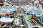 Nâng cao chất lượng hàng hóa xuất khẩu để đáp ứng yêu cầu khắt khe từ Trung Quốc