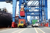 Doanh nghiệp xuất khẩu cần hỗ trợ để trụ vững