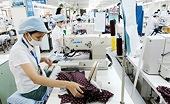 FTA Việt Nam- Israel: Thêm “chìa khóa” mở cửa thị trường xuất khẩu