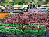 Khoai lang tươi được cấp phép xuất khẩu sang Trung Quốc