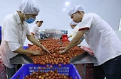 VIFTA: Gia tăng cơ hội cho doanh nghiệp Việt tại thị trường Israel