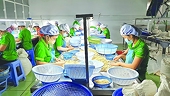 Nhiều điều kiện của thị trường tác động đến hoạt động xuất nhập khẩu