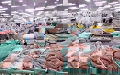 Xuất khẩu thủy sản tìm cách giữ thị trường