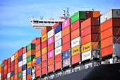 33,6% kim ngạch hàng hóa xuất khẩu hưởng ưu đãi thuế quan từ các FTA