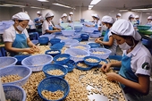 Thách thức kép đang đè nặng doanh nghiệp điều