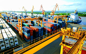 Hàng Việt là đối tượng của 226 vụ điều tra phòng vệ thương mại