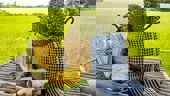 Sầu riêng Việt Nam lần đầu tiên có mặt tại thị trường Anh