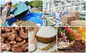 Tăng cường phối hợp để bảo vệ lợi ích của ngành nông, lâm, thủy sản Việt Nam