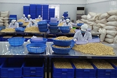 Tránh ‘bão’ lạm phát, xuất khẩu lại đối mặt rủi ro lừa đảo
