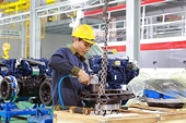 Bảo vệ sản xuất trong nước để hỗ trợ xuất khẩu bền vững