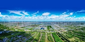 'Xanh hóa' để xuất khẩu