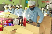Mối lo doanh nghiệp Việt 'hụt hơi' cạnh tranh xuất khẩu tại thị trường Canada