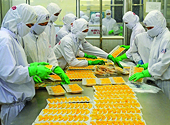 Cảnh báo dự thảo quy định của Nam Phi về ghi nhãn và quảng cáo thực phẩm bao gói sẵn