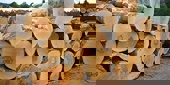 Trung Quốc chấm dứt lệnh cấm nhập khẩu gỗ Australia