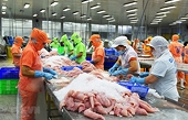 Hàng tồn kho tăng, xuất khẩu cá tra sang Mỹ giảm sâu