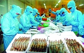 Làm gì trước xu thế bảo hộ gia tăng tại nhiều thị trường lớn?
