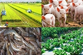 Bộ Công Thương thực hiện hiệu quả công tác phòng vệ thương mại, chủ động bảo vệ nền kinh tế