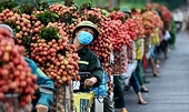 Không sản xuất ồ ạt mới đi tìm thị trường