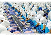 Trầm lắng xuất khẩu thủy sản