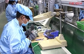 Xuất khẩu mặt hàng chủ lực bao giờ hết cảnh mỏi cổ chờ 'mây tan'?