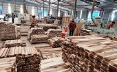 Chặn đà lao dốc của xuất khẩu gỗ