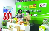 Nâng hạng sản phẩm OCOP rộng đường xuất khẩu