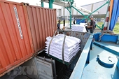 Tăng năng lực cạnh tranh thúc đẩy xuất khẩu gạo sang châu Phi