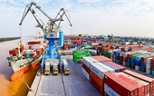 Để xuất khẩu bớt “dựa” FDI cần những “sếu đầu đàn” nội