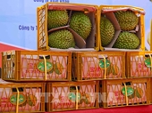 Trái cây Việt tiếp tục bứt phá