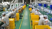 Xuất khẩu sẽ phục hồi trong 6 tháng cuối năm 2023?