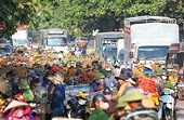 Tiêu thụ trái cây chính vụ: Đa dạng thị trường, nâng giá trị xuất khẩu