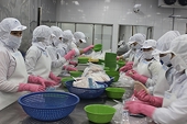 Xuất khẩu cá ngừ sang Mexico tăng gấp đôi
