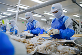 Đề nghị Trung Quốc sớm ký nghị định thư xuất khẩu thủy sản