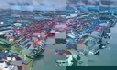Nhờ CPTPP, Canada trở thành thị trường xuất khẩu quan trọng thứ 5 của Việt Nam
