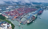 Nhờ CPTPP, Canada trở thành thị trường xuất khẩu quan trọng thứ 5 của Việt Nam