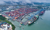 Nhờ CPTPP, Canada trở thành thị trường xuất khẩu quan trọng thứ 5 của Việt Nam