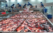 Kim ngạch xuất khẩu thủy sản tăng 14 lần trong 25 năm nhờ tích cực mở rộng thị trường
