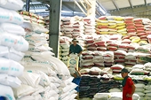 Xuất khẩu phân bón sụt giảm mạnh, doanh nghiệp trong nước nỗ lực tìm thị trường mới