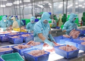 Doanh nghiệp Việt hóa giải những khó khăn ở thị trường châu Mỹ