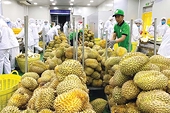 Xuất khẩu rau quả “bùng nổ”, dự kiến sẽ đạt 5 tỷ USD ngay trong năm 2023